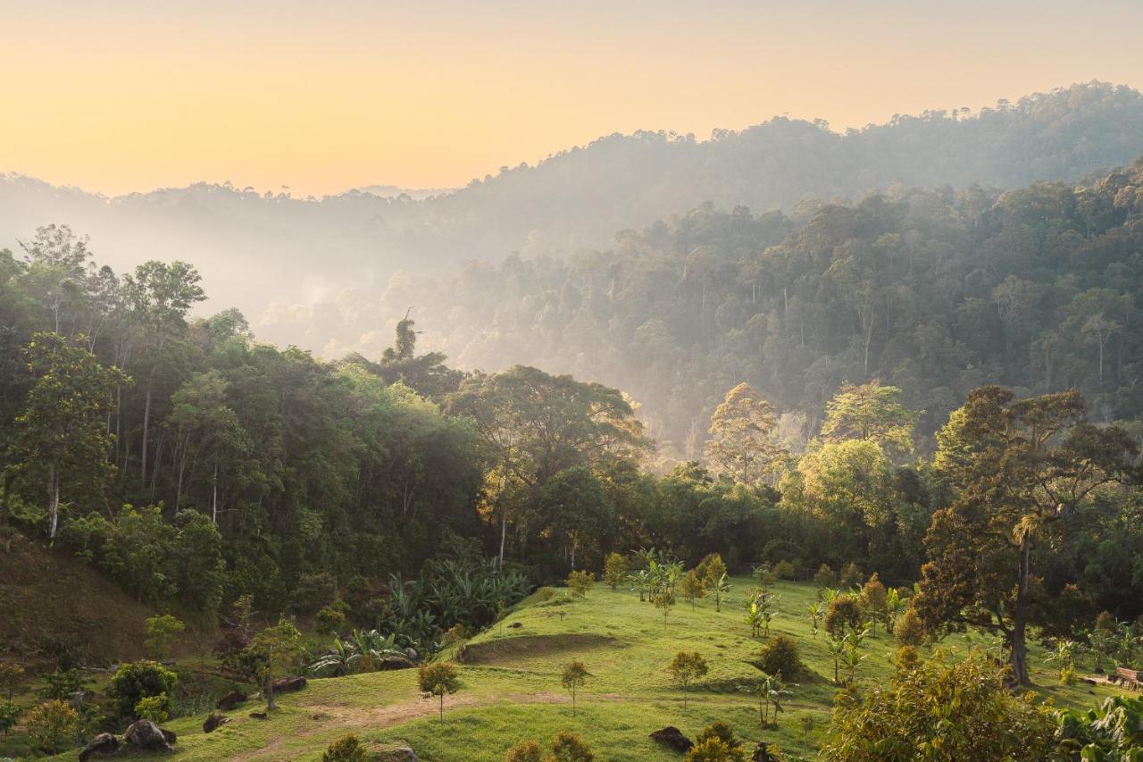 Ellin Forest Karaoke & Pool Resort Bukit Tinggi Bentong Esterno foto