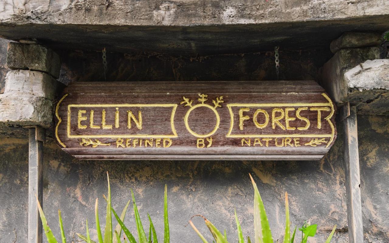 Ellin Forest Karaoke & Pool Resort Bukit Tinggi Bentong Esterno foto